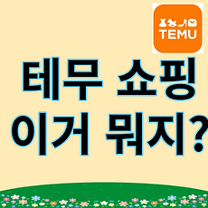 스킨이미지4