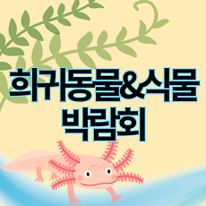 스킨이미지5