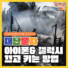 하루주루 일상 꿀 정보