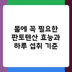썸네일