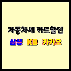 스킨이미지4