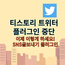 스킨이미지5