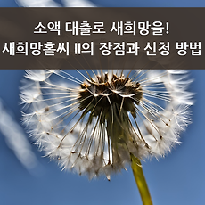 카테고리이미지