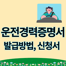 스킨이미지4