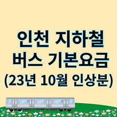 스킨이미지4