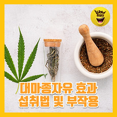 하루주루 일상 꿀 정보