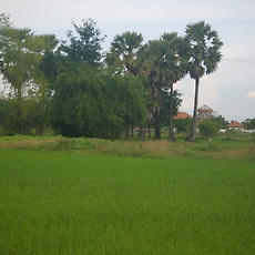 카테고리이미지