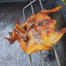 카테고리이미지