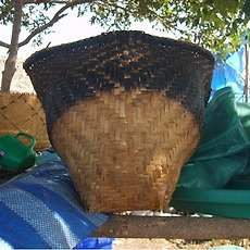 카테고리이미지