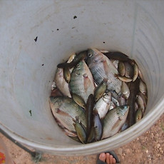 카테고리이미지