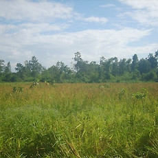 카테고리이미지