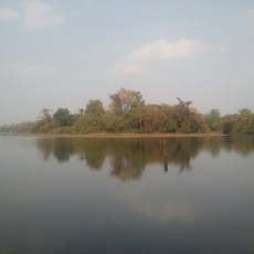 카테고리이미지