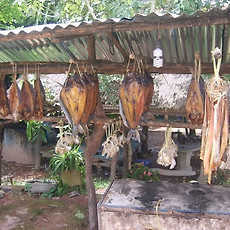 카테고리이미지