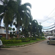 카테고리이미지