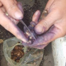 카테고리이미지