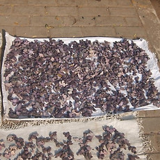 카테고리이미지