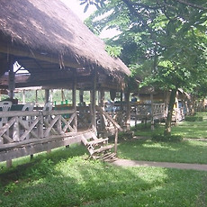 카테고리이미지