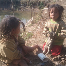 카테고리이미지