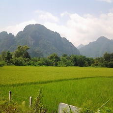 카테고리이미지