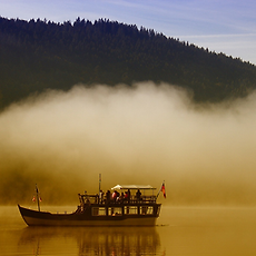 article-rep-thumbnail