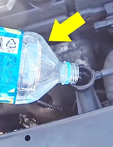 차카💨