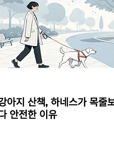 thumbnail5