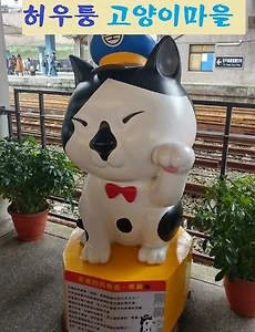 [대만여행] 예스허진지 버스투어, 허우퉁 고양이마을의 고양이들