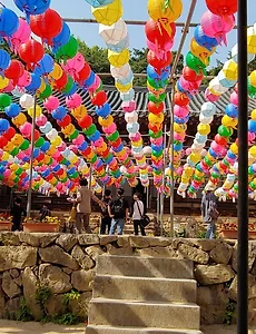 [안동가볼만한곳] 안동 봉정사