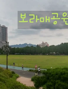 보라매공원 주말나들이하기 좋은 곳이네요