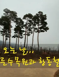 서울 눈오는 날의 푸른수목원과 항동철길 나들이