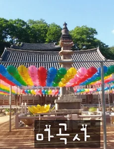 [공주여행]태화산 마곡사