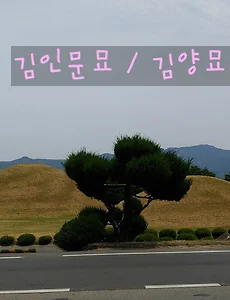 김인문 묘/김양 묘 그리고 서악동 귀부