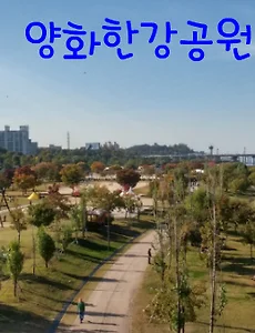 양화한강공원 정보(주차장, 자전거대여, 양화물놀이장, 선유도공원)