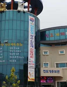 [진도여행]진도개테마파크에서 진도개 체험하기