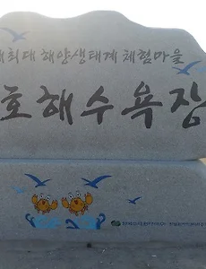 [고창여행] 일몰이 아름다운 고창 동호해수욕장, 신나는 물놀이와 일몰구경 하세요