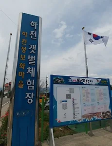 [고창갯벌체험] 하전갯벌마을, 하전갯벌체험으로 동죽캐기