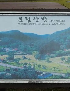 [진도여행]진도 가볼만한 곳, 운림산방