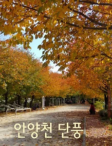 서울단풍 명소, 안양천 단풍나들이(목동교-오목교-신정교 구간)