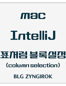 IntelliJ | 표처럼 세로로 블록설정 하는 방법 - Column Selection