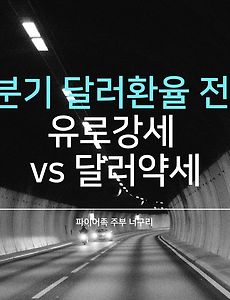 1분기 달러환율 전망 - 유로강세 vs 달러약세