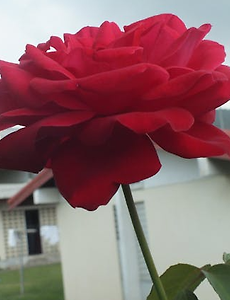thumbnai5