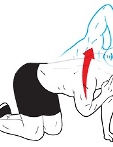 건강