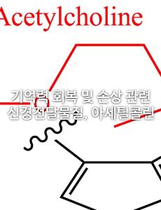 기억력 회복 및 손상 관련 신경전달물질, 아세틸콜린 알아보기