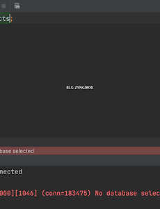 IntelliJ | SQL | Error | [3D000][1046] (conn=183475) No database selected 해결책