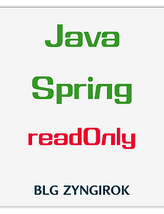 Java | @Transactional(readOnly = true) 빨간글씨