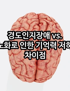 경도인지장애 vs 노화로 인한 기억력 저하 차이 - 예방법은?