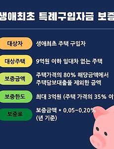 주택가격의 80%까지 주담대가 된다고? - 생애최초 특례구입자금 보증