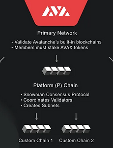 Avalanche란? 최신 보안 이슈로 급락