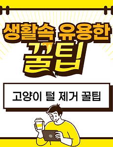 고양이 털 제거 꿀팁 | 가구와 옷에 묻은 털을 빠르게! 썸네일