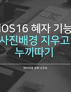 iOS16 혜자 기능 - 사진배경 지우고 누끼따기